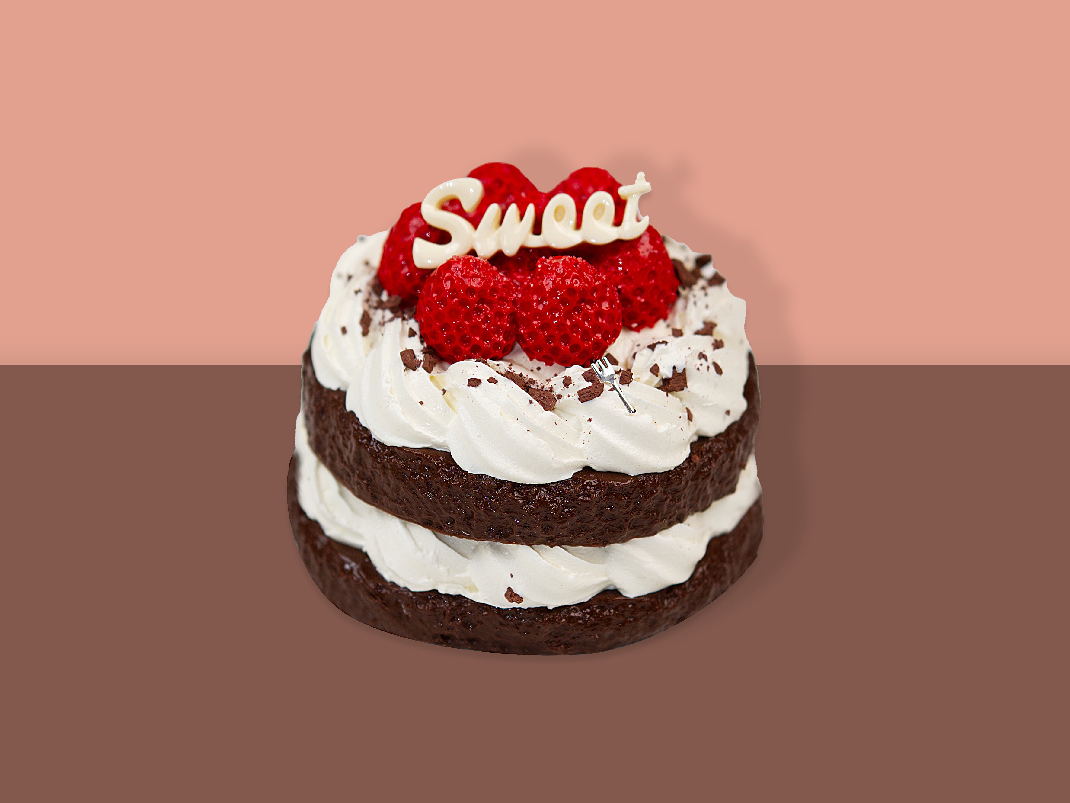 Chocolate Raspberry Mini Cake