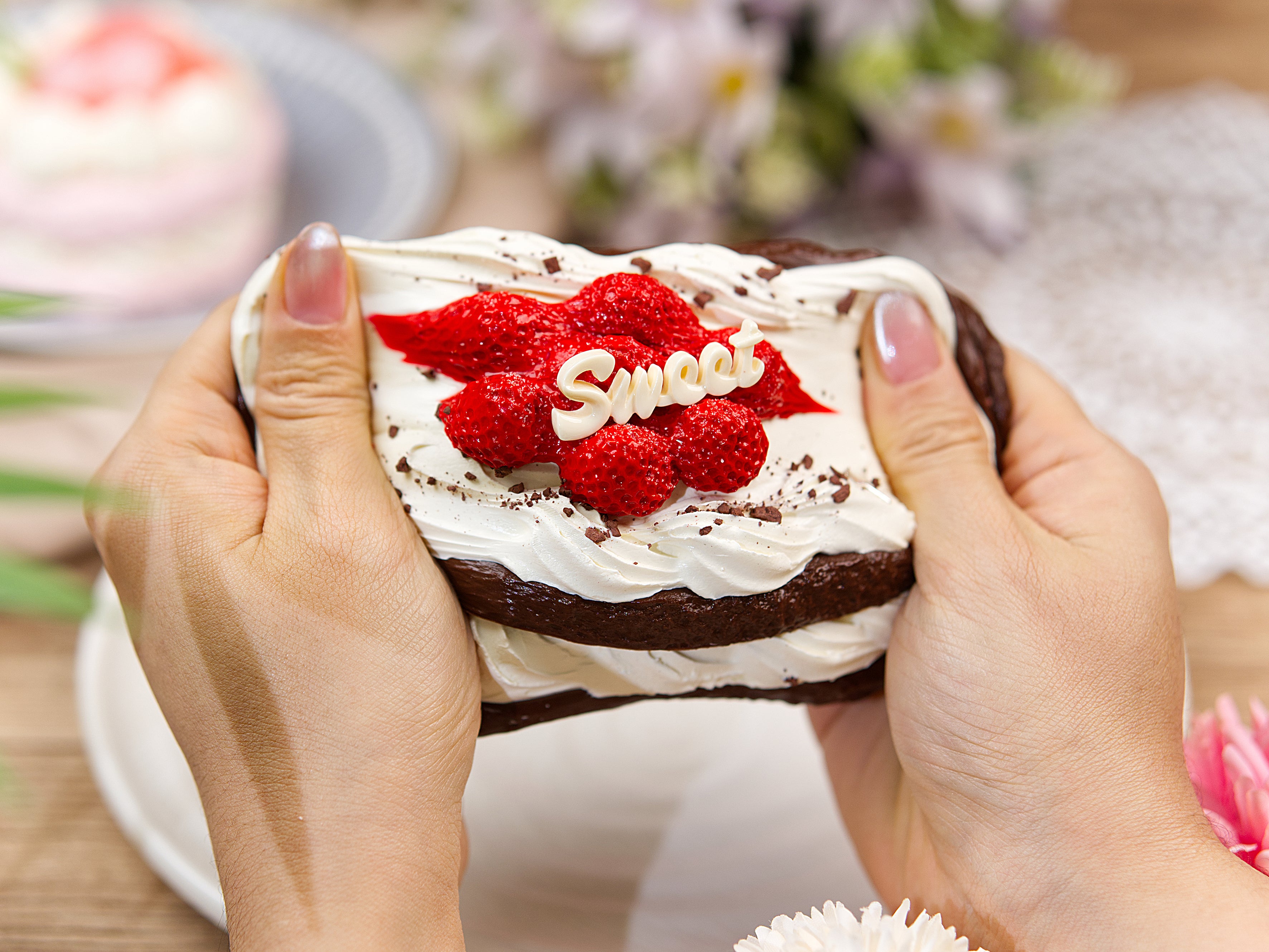Chocolate Raspberry Mini Cake