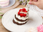 Chocolate Raspberry Mini Cake
