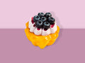 Blueberry Egg Tart
